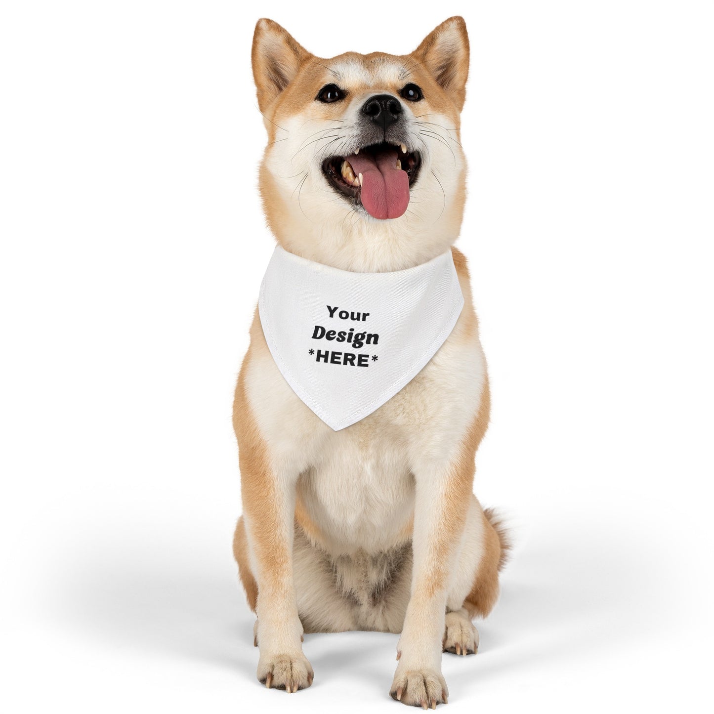 Personalized Pet Bandana Collar